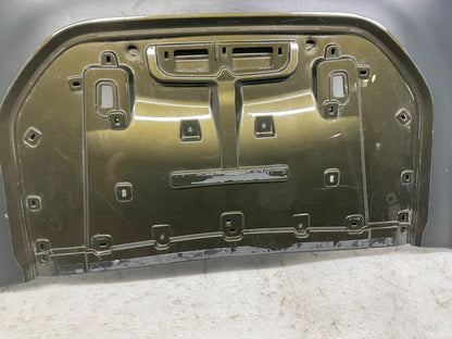 Bronco Raptor hood panel angle view