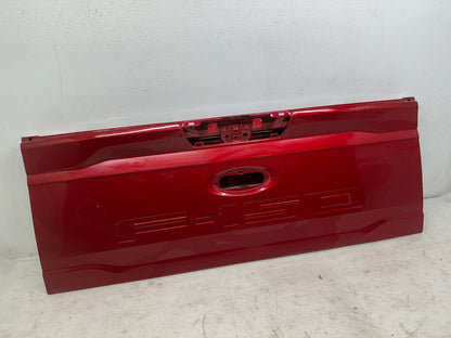 Ford F-150 tailgate inner side