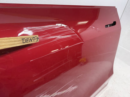 Tesla Model Y front door edge detail